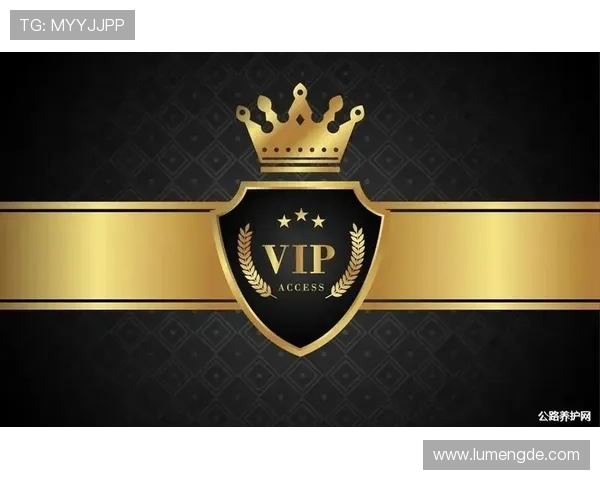 开云九游娱乐网站appVIP会员特权与专属福利介绍