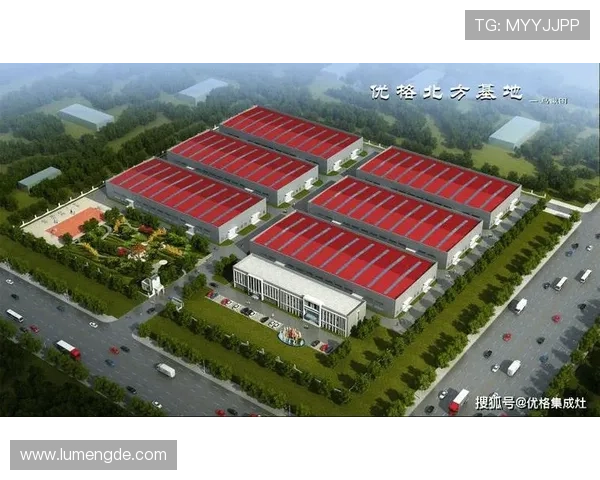 开云体育直营：提升品牌影响力与市场竞争力的有效途径