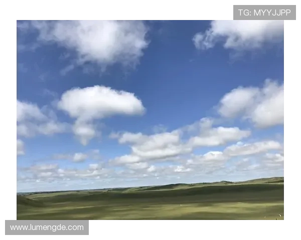 开云Kaiyun开户步骤全攻略让你轻松完成注册快速开启游戏之旅 开云Kaiyun开户步骤全攻略让你轻松完成注册快速开启游戏之旅